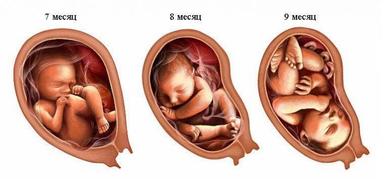 3 триместр беременности — отзывы