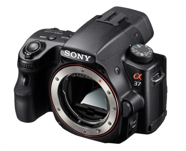 Зеркальная камера Sony Alpha SLT-A37 — отзывы