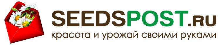Интернет-магазин семян Seedspost.ru — отзывы