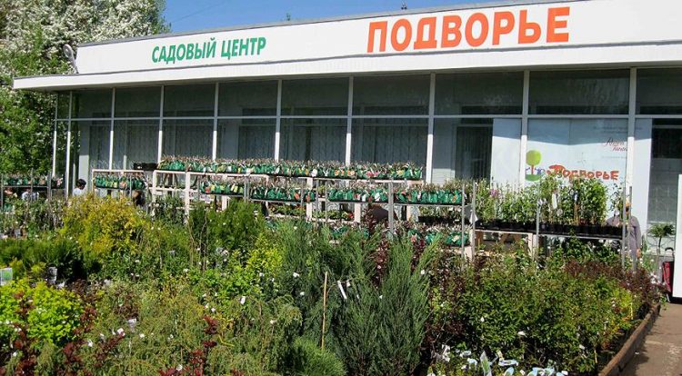 Садовый центр «Подворье» (Россия, Москва) — отзывы