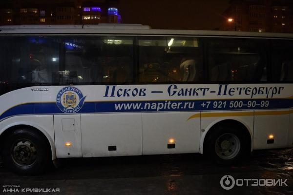 Автобусы Псков-Санкт-Петербург «Автофаворит» — отзывы